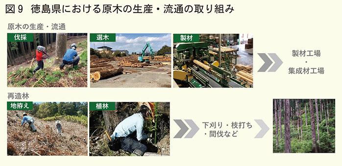 徳島県における原木の生産流通の取り組み