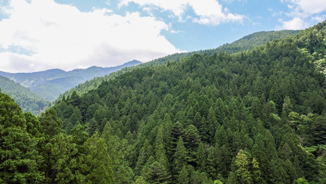 林野庁 次期全国森林計画案を取りまとめ 新たな施策の導入を踏まえた見直しを実施