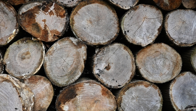 林野庁 2022年木材需給表を公表 木材自給率は40.7％、 総需要量は２年連続で増加