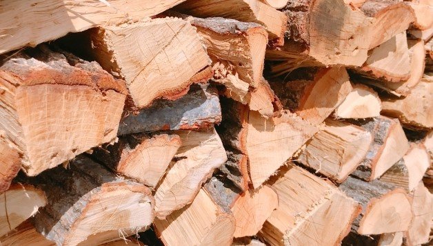 林野庁 「林産物に関するマンスリーレポート（仮称）」を創刊 木材需給・価格動向等の幅広い情報を定期発信へ