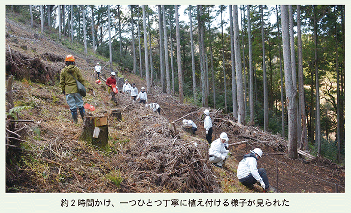 丹沢の森植林囲み画像