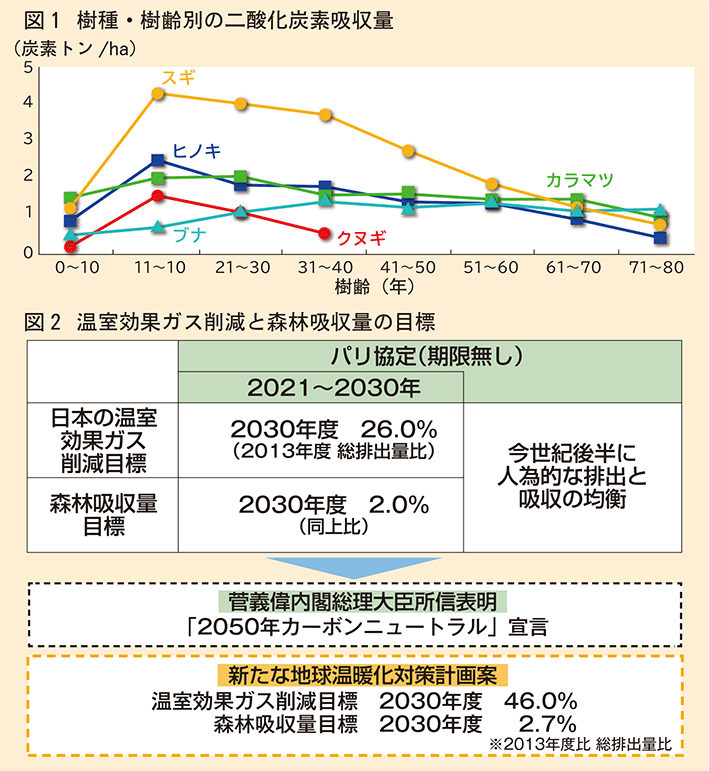 樹種樹齢別のCO2吸収量、温室効果ガス削減と森林吸収量目標