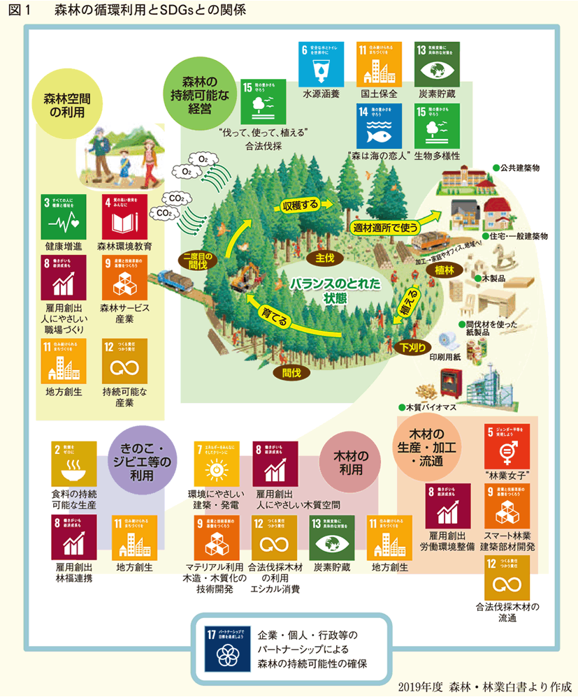 森林の循環利用とSDGsとの関係