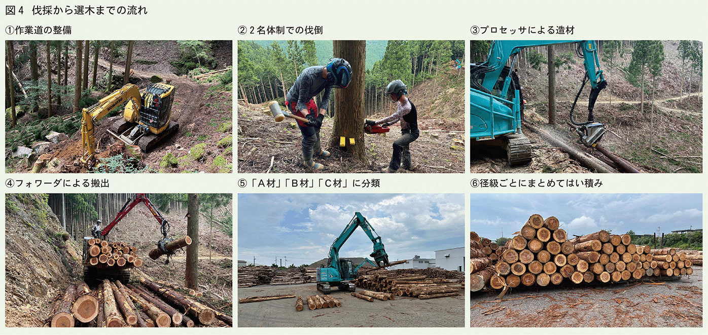 伐採から選木までの流れ